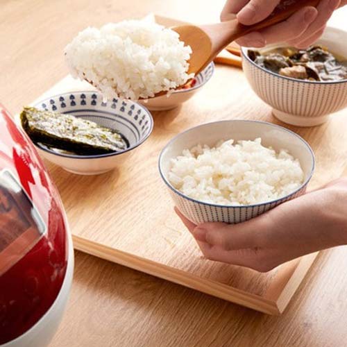 Рисоварки - для чего нужны и как выбрать