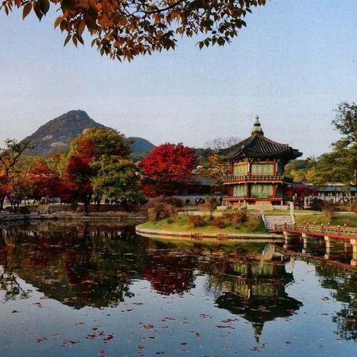 5 необычных фактов о Южной Корее